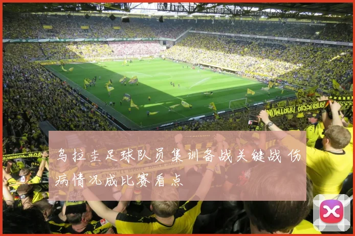 乌拉圭足球队员集训备战关键战 伤病情况成比赛看点